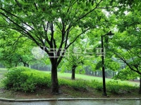 공원, park, 옥외, outdoors, 자연, 사진,이미지,일러스트,캘리그라피 - 운사작가 크라우드픽 - 저작권 걱정 없는 상업용 이미지