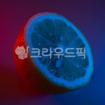 음식, 과일, fruit, 레몬, lemon, 사진,이미지,일러스트,캘리그라피 - nam51작가 크라우드픽 - 저작권 걱정 없는 상업용 이미지