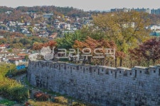 와룡공원, 와룡공원길, 산책, 산책로, 서울, 사진,이미지,일러스트,캘리그라피 - imlover작가 크라우드픽 - 저작권 걱정 없는 상업용 이미지