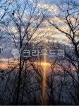 sunlight, 햇빛, 자연, nature, outdoors, 사진,이미지,일러스트,캘리그라피 - 오지는오쥐작가 크라우드픽 - 저작권 걱정 없는 상업용 이미지