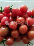 원조토망고, 방울토마토, 스테비아토마토, 채소, food, 사진,이미지,일러스트,캘리그라피 - saraon33작가 크라우드픽 - 저작권 걱정 없는... 
