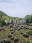 제주도, 한라산, 돌, 하늘, 풍경, 사진,이미지,일러스트,캘리그라피 - Hong D작가 크라우드픽 - 저작권 걱정 없는 상업용 이미지