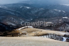 삼양목장, 눈길, 목장, 울타리, 겨울, 사진,이미지,일러스트,캘리그라피 - 집시작가 크라우드픽 - 저작권 걱정 없는 상업용 이미지