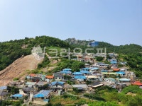 전라남도, 목포시, 보리마당, 산책길, 목포보리마당, 사진,이미지,일러스트,캘리그라피 - hello olive작가 크라우드픽 - 저작권 걱정 없는... 