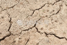 건조한, 토양, 갈라짐, 볼모의, drought, 사진,이미지,일러스트,캘리그라피 - passion434작가 크라우드픽 - 저작권 걱정 없는 상업용 이미지