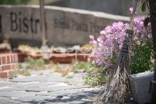 마당, 꽃, 빗자루, 감성, 햇살, 사진,이미지,일러스트,캘리그라피 - Pisces85작가 크라우드픽 - 저작권 걱정 없는 상업용 이미지