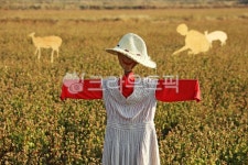 허수하비, 들판, 들녘, 자연, 논, 사진,이미지,일러스트,캘리그라피 - 고운경작가 크라우드픽 - 저작권 걱정 없는 상업용 이미지