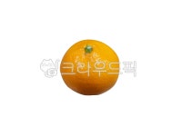 귤, 과일, 계절과일, 감귤, fruit, 사진,이미지,일러스트,캘리그라피 - jy56작가 크라우드픽 - 저작권 걱정 없는 상업용 이미지