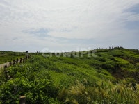 nature, 자연, outdoors, 옥외, 성산일출봉, 사진,이미지,일러스트,캘리그라피 - waylow작가 크라우드픽 - 저작권 걱정 없는 상업용 이미지