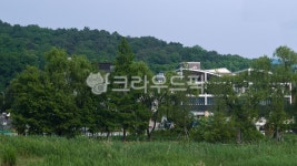 단대호수, 천안, 산책, 여름, 나무, 사진,이미지,일러스트,캘리그라피 - ummui33작가 크라우드픽 - 저작권 걱정 없는 상업용 이미지