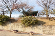 진주, 진주성, jinjucastle, 단풍, maple, 사진,이미지,일러스트,캘리그라피 - 냥갱셔터작가 크라우드픽 - 저작권 걱정 없는 상업용 이미지