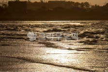 sunlight, 햇빛, nature, 자연, 옥외, 사진,이미지,일러스트,캘리그라피 - dudhi3248작가 크라우드픽 - 저작권 걱정 없는 상업용 이미지