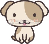 강아지, 애완동물, dog, puppy, 동물병원, 사진,이미지,일러스트,캘리그라피 - meehee1017작가 크라우드픽 - 저작권 걱정 없는 상업용 이미지