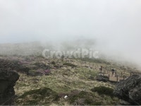 한라산, 제주도, 안개, 산, 자연, 사진,이미지,일러스트,캘리그라피 - spazi작가 크라우드픽 - 저작권 걱정 없는 상업용 이미지