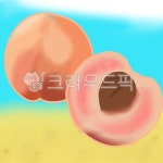 복숭아, 여름, 과일, 달달, 시원, 사진,이미지,일러스트,캘리그라피 - mintchocolate1120작가 크라우드픽 - 저작권 걱정 없는 상업용 이미지