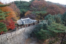서문, 우익문, 남한산성, 도립공원, 산성, 사진,이미지,일러스트,캘리그라피 - Deep bLUE작가 크라우드픽 - 저작권 걱정 없는 상업용 이미지
