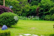 자연, nature, 옥외, outdoors, 잔디광장, 사진,이미지,일러스트,캘리그라피 - studio H작가 크라우드픽 - 저작권 걱정 없는 상업용 이미지