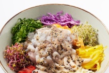 물회, 낙지, 흰색배경, 음식, 수산물, 사진,이미지,일러스트,캘리그라피 - Art작가 크라우드픽 - 저작권 걱정 없는 상업용 이미지