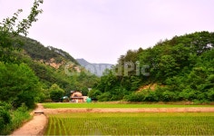 산촌, 집, 하우스, 논, 산, 사진,이미지,일러스트,캘리그라피 - space작가 크라우드픽 - 저작권 걱정 없는 상업용 이미지