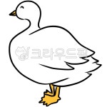 오리, 백조, duck, 동물, 일러스트, 사진,이미지,일러스트,캘리그라피 - 재로박서작가 크라우드픽 - 저작권 걱정 없는 상업용 이미지