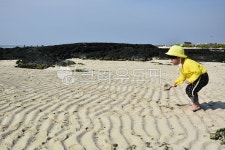 제주도, 여유, 감성, soil, 인간, 사진,이미지,일러스트,캘리그라피 - Nstory24s작가 크라우드픽 - 저작권 걱정 없는 상업용 이미지