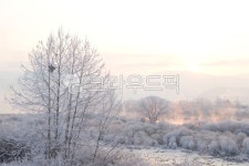 상고대, 겨울, 서리, 춘천상고대, 소양강상고대, 사진,이미지,일러스트,캘리그라피 - 마퉁이작가 크라우드픽 - 저작권 걱정 없는 상업용 이미지