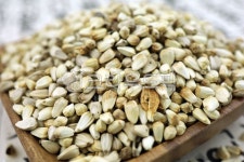 홍화씨, 홍화, 약재, 약초, 한방재료, 사진,이미지,일러스트,캘리그라피 - 토토기작가 크라우드픽 - 저작권 걱정 없는 상업용 이미지