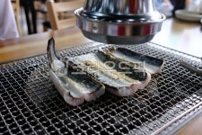 장어구이, 민물장어, 장어, 장어소금구이, 생선, 사진,이미지,일러스트,캘리그라피 - 오렌지후추작가 크라우드픽 - 저작권 걱정 없는 상업용 이미지