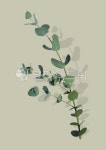 삶을디자인하다봄꽃 | 봄, 식물, 자연, 꽃, 봄꽃, 사진,이미지,일러스트,캘리그라피 - 유자디자인작가 크라우드픽 - 저작권 걱정 없는 상업용 이미지