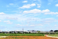 하늘, 구름, 청명, 가을하늘, 푸른하늘, 사진,이미지,일러스트,캘리그라피 - pol 작가작가 크라우드픽 - 저작권 걱정 없는 상업용 이미지