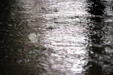 비, 물, 빗방울, 빗물, 동심원, 사진,이미지,일러스트,캘리그라피 - benjamin작가 크라우드픽 - 저작권 걱정 없는 상업용 이미지