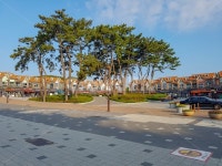 울산, 대왕암, 대왕암공원, 관광명소, 울기등대 사진, 이미지 - CHVRTG작가 가장 한국적인 스톡 사진 - 크라우드픽