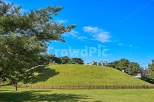 왕릉, 정릉, 무덤, 소나무, 묘자리, 사진,이미지,일러스트,캘리그라피 - walk2wind작가 크라우드픽 - 저작권 걱정 없는 상업용 이미지