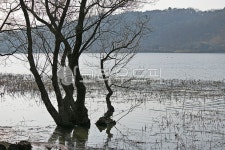 신정호, 신정호국민관광지, 아산, 인공호수, 호수, 사진,이미지,일러스트,캘리그라피 - Deep bLUE작가 크라우드픽 - 저작권 걱정 없는 상업용... 
