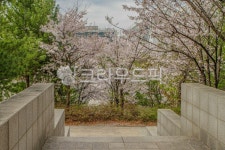 고대, 고려대, 고려대학교, 서울, 안암동, 사진,이미지,일러스트,캘리그라피 - imlover작가 크라우드픽 - 저작권 걱정 없는 상업용 이미지