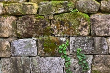 한국전통, 돌담, 빈티지, 이끼, 석재, 사진,이미지,일러스트,캘리그라피 - space작가 크라우드픽 - 저작권 걱정 없는 상업용 이미지