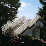 계단, 햇빛, 나무, stair, 육교, 사진,이미지,일러스트,캘리그라피 - uniq작가 크라우드픽 - 저작권 걱정 없는 상업용 이미지