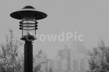 풍경, 가로등, 외로움, 사물, 흑백, 사진,이미지,일러스트,캘리그라피 - Nscvrom작가 크라우드픽 - 저작권 걱정 없는 상업용 이미지