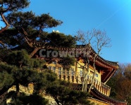 정자, 한옥, 신사, 건축물, 건물, 사진,이미지,일러스트,캘리그라피 - 찌꾸누작가 크라우드픽 - 저작권 걱정 없는 상업용 이미지