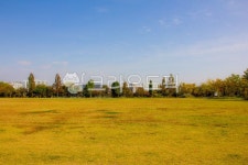 자연, nature, 옥외, outdoors, 잔디광장, 사진,이미지,일러스트,캘리그라피 - studio H작가 크라우드픽 - 저작권 걱정 없는 상업용 이미지