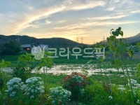 자연, 해질녘, 산책, nature, 물, 사진,이미지,일러스트,캘리그라피 - lily2710작가 크라우드픽 - 저작권 걱정 없는 상업용 이미지