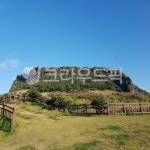 제주도, 성산일출봉, 제주성산일출봉, 자연, 목장, 사진,이미지,일러스트,캘리그라피 - 바람한잔작가 크라우드픽 - 저작권 걱정 없는 상업용 이미지