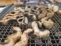 장어, eel, 장어구이, 민물장어, 장어숯불구이, 사진,이미지,일러스트,캘리그라피 - Dracula작가 크라우드픽 - 저작권 걱정 없는 상업용 이미지