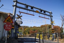 건널목, 멈춤, 정지, stop, 안내, 사진,이미지,일러스트,캘리그라피 - studio H작가 크라우드픽 - 저작권 걱정 없는 상업용 이미지