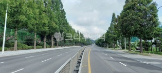 포항메타세콰이어, 흥해가는길, 포항소티제메타세콰이어길, 메타세콰이어, 메타세콰이어가로수, 사진,이미지,일러스트,캘리그라피... 