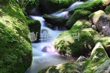 이끼계곡, 폭포, 계곡, 이끼, 푸른폭포, 사진,이미지,일러스트,캘리그라피 - happyman365작가 크라우드픽 - 저작권 걱정 없는 상업용 이미지