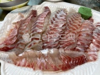 회, food, 음식, lawfish, 돔, 사진,이미지,일러스트,캘리그라피 - ahahsla9작가 크라우드픽 - 저작권 걱정 없는 상업용 이미지