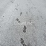 눈, snow, 발자국, 겨울, winter, 사진,이미지,일러스트,캘리그라피 - Nwndnjs2327작가 크라우드픽 - 저작권 걱정 없는 상업용 이미지