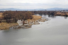 안성천, 안성천둔치, 하천, 자연, 목초지, 사진,이미지,일러스트,캘리그라피 - Deep bLUE작가 크라우드픽 - 저작권 걱정 없는 상업용 이미지