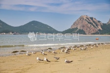 군산, 해안선, 연안, 바다, 바닷가, 사진,이미지,일러스트,캘리그라피 - 비급영상공방작가 크라우드픽 - 저작권 걱정 없는 상업용 이미지